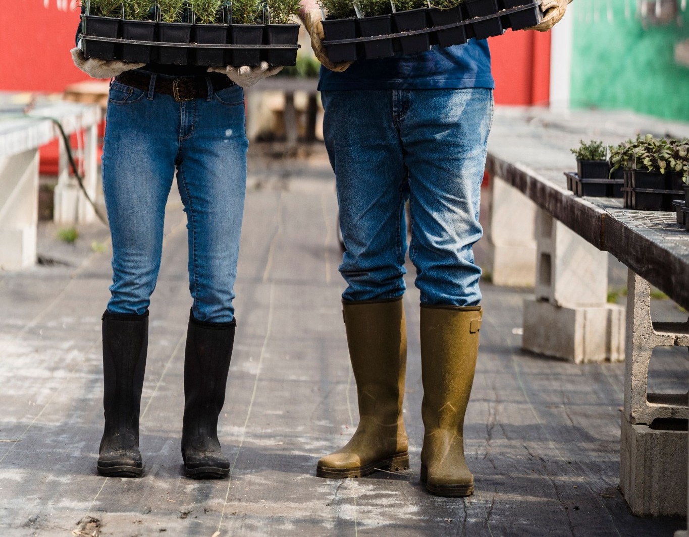 Agricultural work boots in a greenhouse