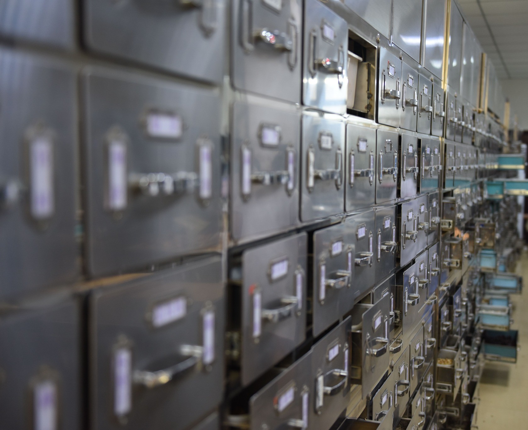 Historic archive storage drawers
