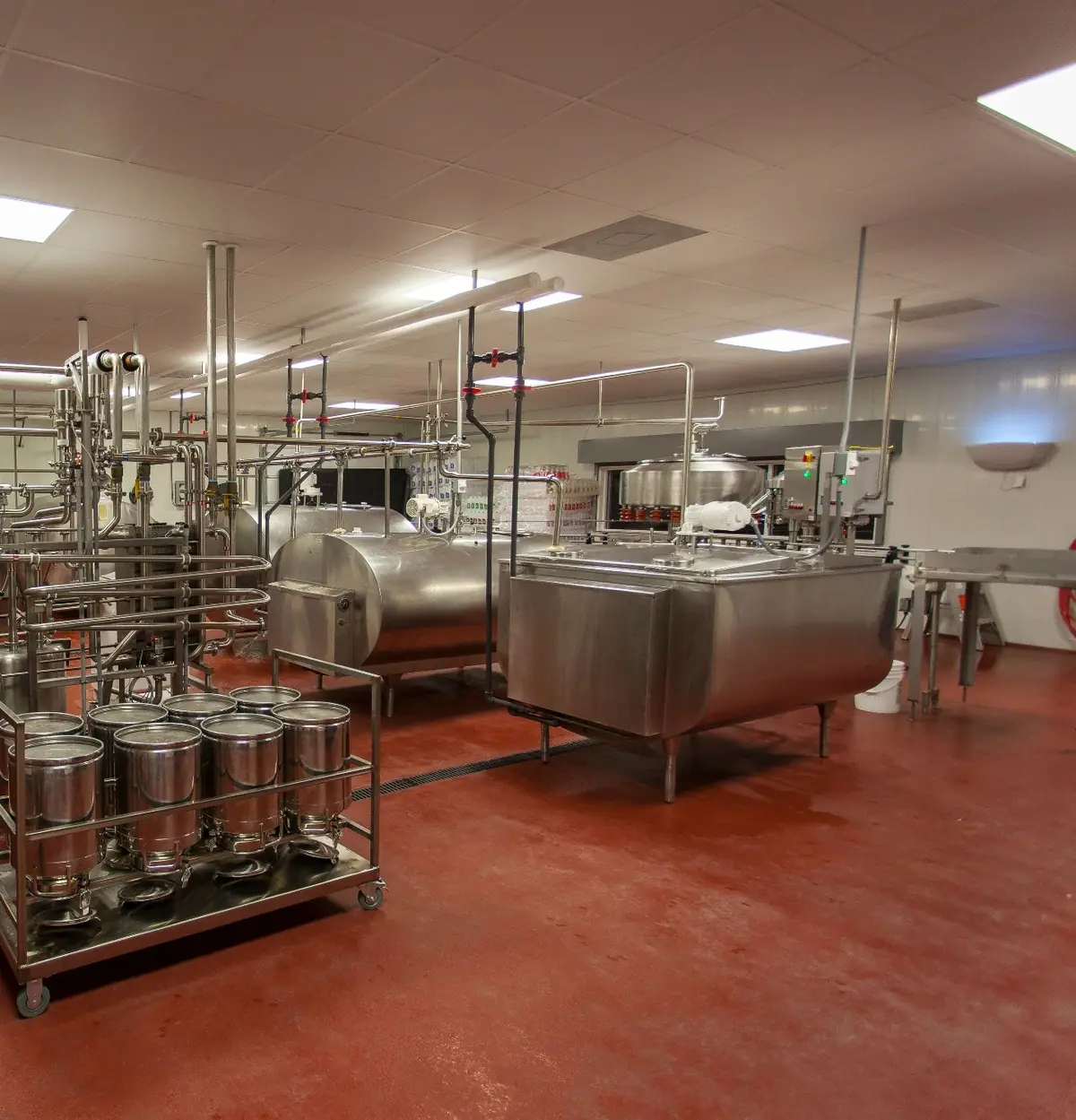 Stainless steel agricultural production equipment