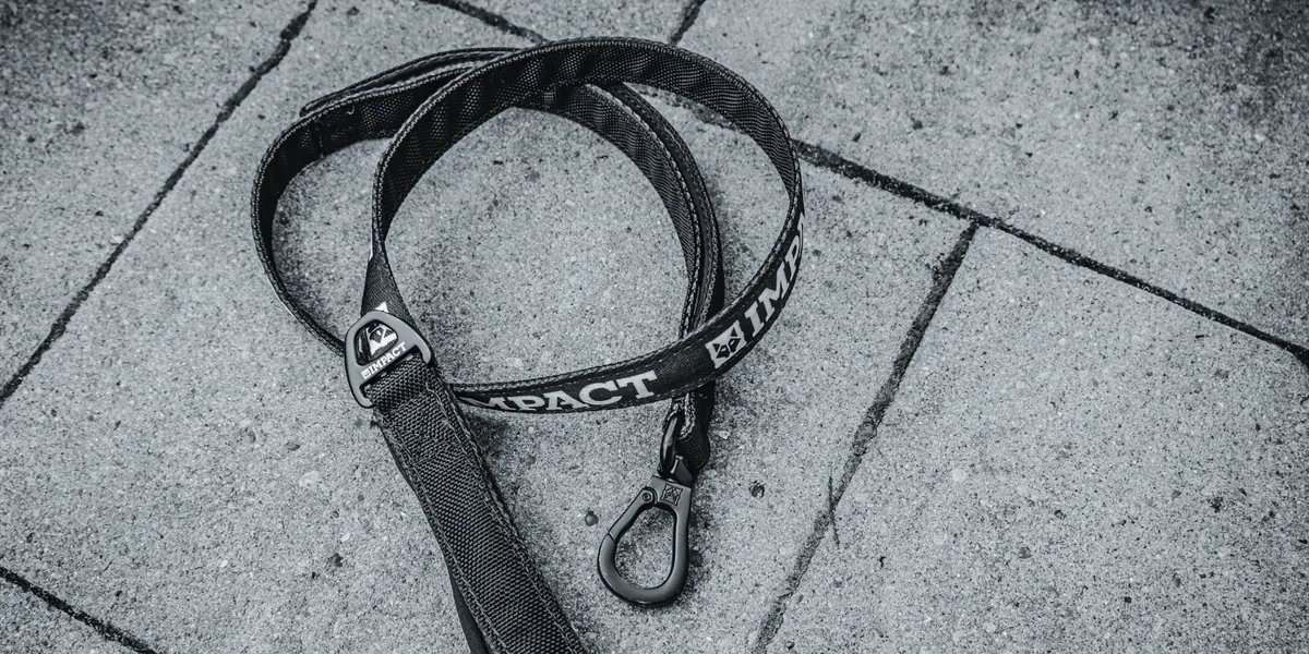 Leash representing premium Companion Stock placements