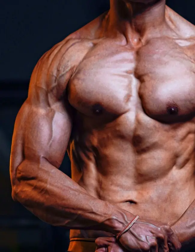 Adult male torso representing Labour Stock physical production