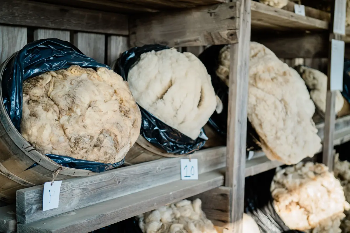 Stored fleeces representing wool stock production