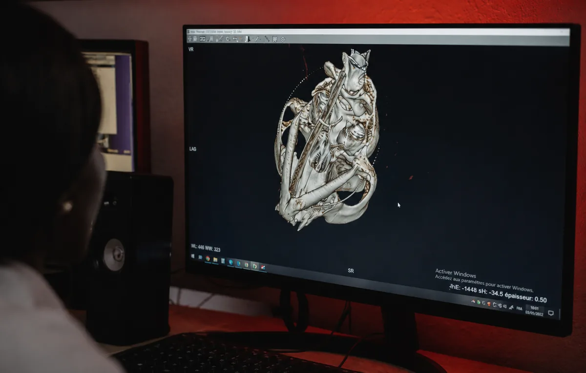 Advanced anatomical design workstation representing custom Specialty Stock development