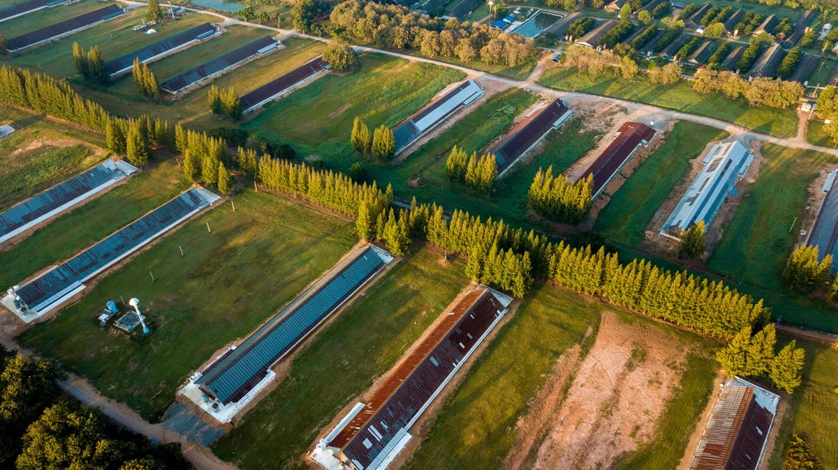Aerial view of extensive agricultural facilities and adjoining fields