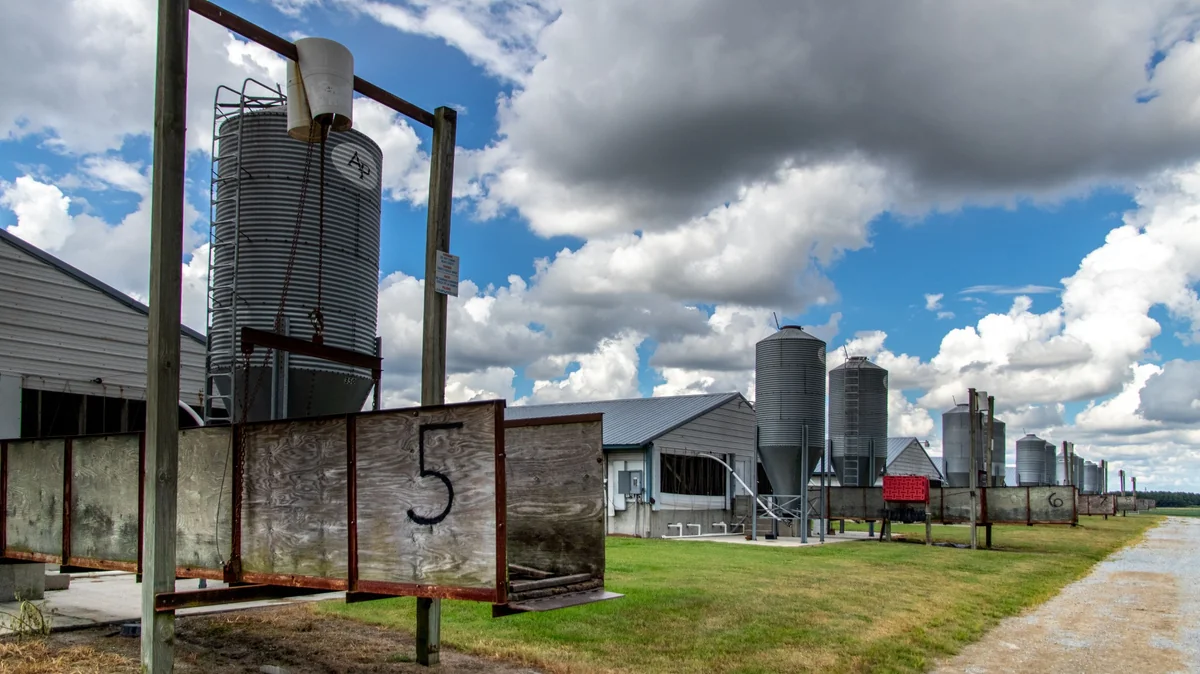 Rows of conventional agricultural buildings and storage silos in an open rural landscape
